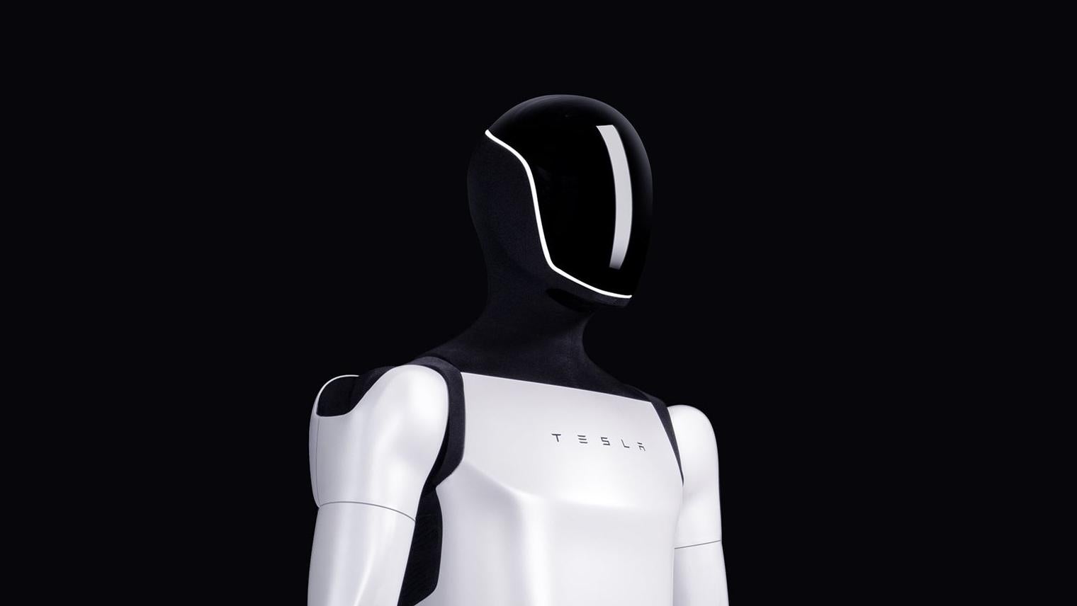 Tesla Optimus Gen-1 Model